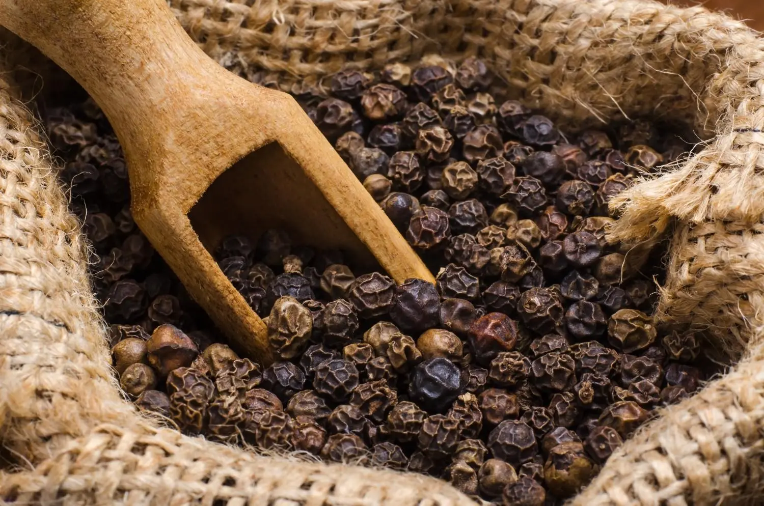 Black Pepper
