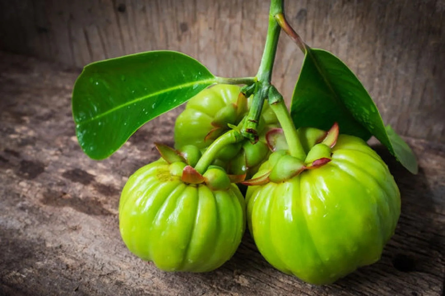 Garcinia Extract (Water Insoluble)