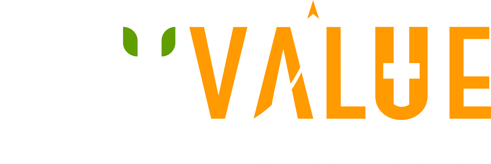 TruValue Global Logo